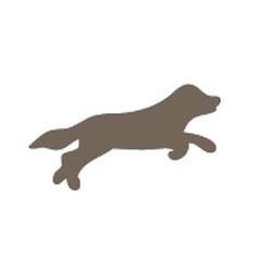 Folkestone Dog Walker