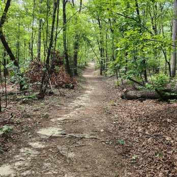 Bald Rock Heritage Preserve - Trail - Hiking Near Me - Cleveland, South Carolina