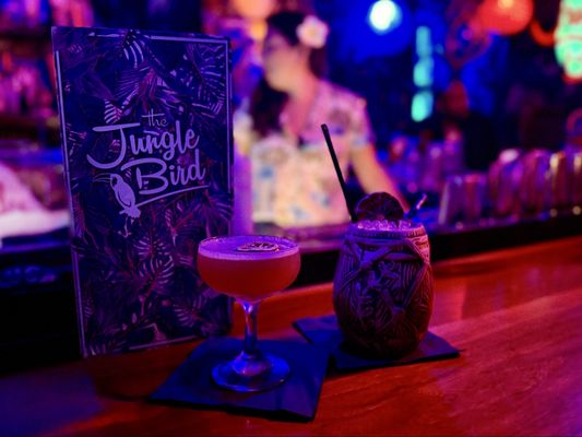 The Jungle Bird by null