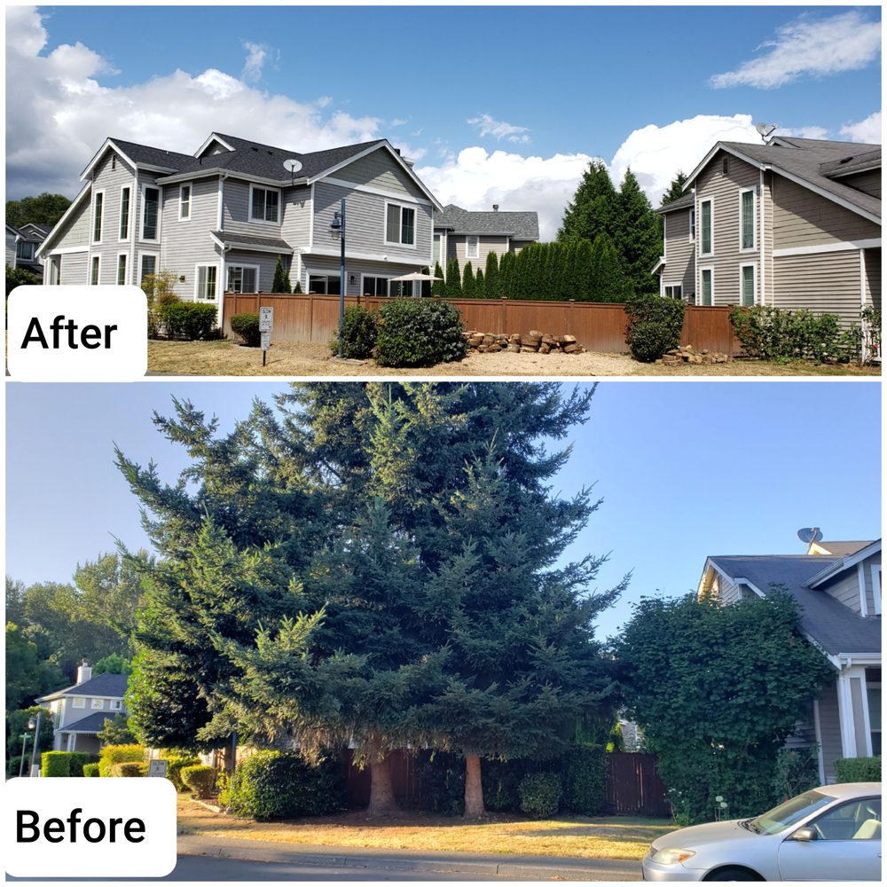 GREEN NATURE TREE SERVICE Updated July 2024 33 Photos Fall City