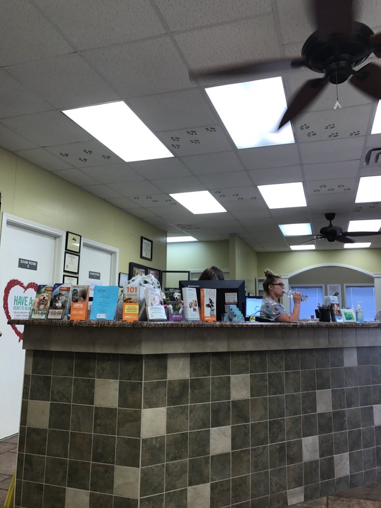GRANDVIEW VETERINARY CLINIC Updated September 2024 16 Reviews