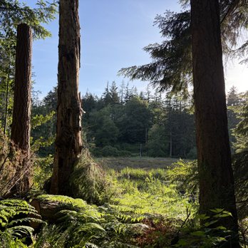 Earth Sanctuary - May 2026 forest - Parks Near Me - Langley, Washington