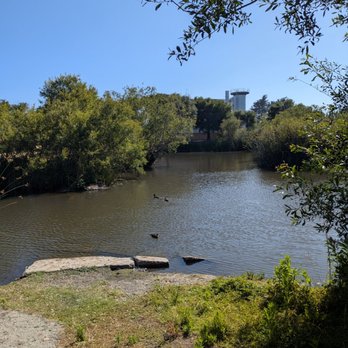 Neary Lagoon - Parks Near Me - Santa Cruz, California Neary Lagoon - Parks Near Me - Santa Cruz, California