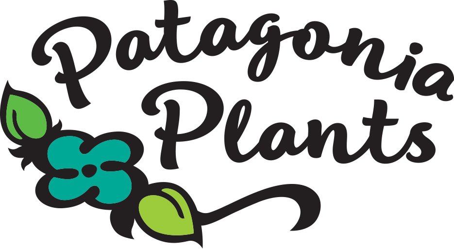 PATAGONIA PLANTS 308 Naugle Ave, Patagonia, Arizona Nurseries & Gardening Phone Number Yelp