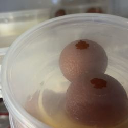City Kabob-Arlington - The desserts are very fresh rice, pudding, and more cheesecake, mango lassi, and these little guys
