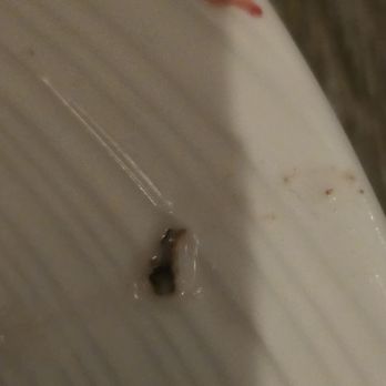 Chandler's Oceanfront Dining - Foreign objects in Creamer - New American Near Me - Carlsbad, California