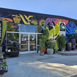 Exotic Plants
