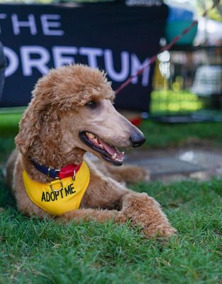 The Arboretum by null