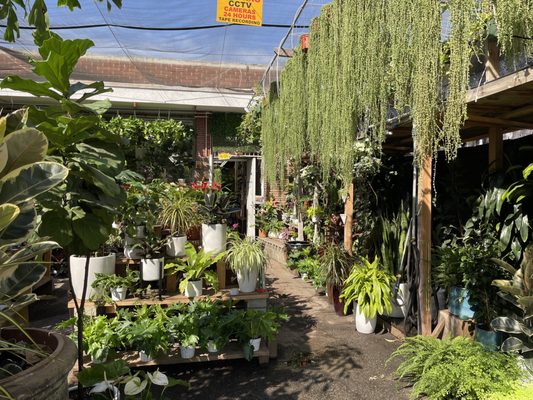 City Home & Garden, Inc by null