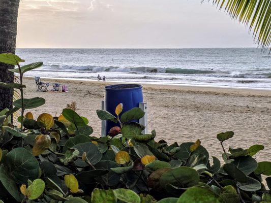 The Royal Sonesta San Juan by null