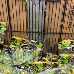 North Park Produce