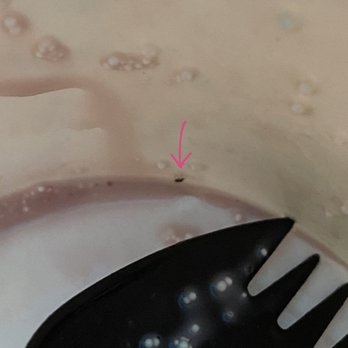 Class 520 - bug in cup - Ice Cream & Frozen Yogurt Near Me - Rockville, Maryland Class 520 - bug in cup - Ice Cream & Frozen Yogurt Near Me - Rockville, Maryland