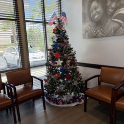 Champions Gate Dentistry - Pottery tree