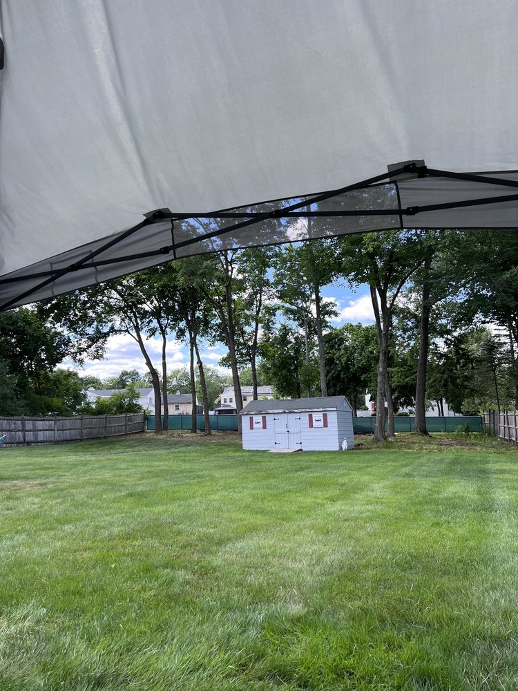 MAYER TREE SERVICES 29 Photos & 32 Reviews 9 Scots Way, Essex