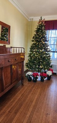 Lee-Fendall House Museum & Garden by null