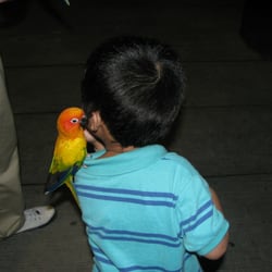 Ark Avilon Zoo