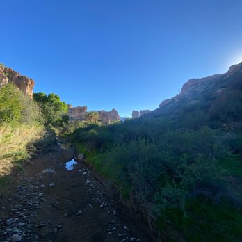 Boyce Thompson Arboretum - Along the bridge - Botanical Gardens Near Me - Superior, Arizona