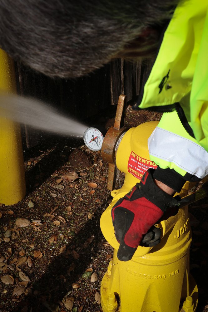 LITTLE YELLOW BUDDIES Updated June 2024 Request a Quote Valley