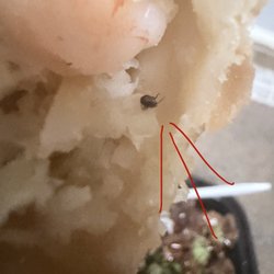 China King - Do not eat at this Chinese restaurant called ( China King Restaurant) at all this is very disturbing and disgusting!