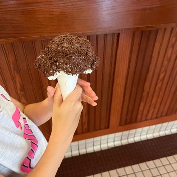 Graeter's Ice Cream - Mint Ice Cream on a Sugar Cone with Chocolate Sprinkles - Ice Cream & Frozen Yogurt Near Me - Mason, Ohio