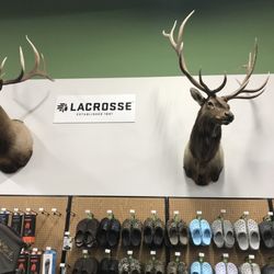 Sportsman's Warehouse - Fun shopping.