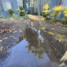 Summerview - Apartments Near Me - Modesto, California