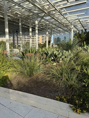 Moody Amphitheater by null