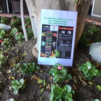 Royal hookah lounge - a sign in front of a tree - Hookah Bars Near Me - Los Angeles, California Royal hookah lounge - a sign in front of a tree - Hookah Bars Near Me - Los Angeles, California