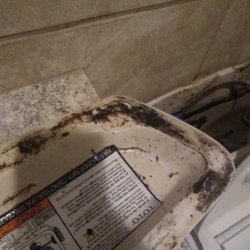Bushwood Country Club - Ladies bathroom. Full of mold