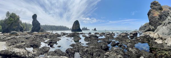 Shi Shi Beach by null
