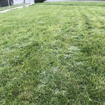 Lawn Love Lawn Care - Landscaping Near Me - Baltimore, Maryland