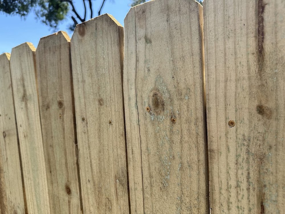 Tommy's Tree Service - tree service in Austin, TX