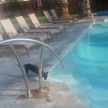 Millennial Realtors - Our beautiful pool I dreamed of as a result of their finding... - Real Estate Agents Near Me - Whittier, California Millennial Realtors - Our beautiful pool I dreamed of as a result of their finding... - Real Estate Agents Near Me - Whittier, California