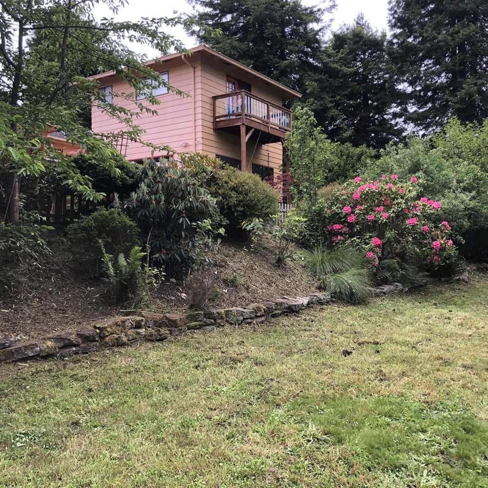 Lawn-Believable - Hill that was cleaned up. - Lawn Services Near Me Lawn-Believable - Hill that was cleaned up. - Lawn Services Near Me