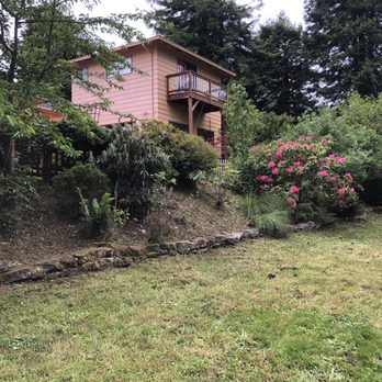Lawn-Believable - Hill that was cleaned up. - Lawn Services Near Me