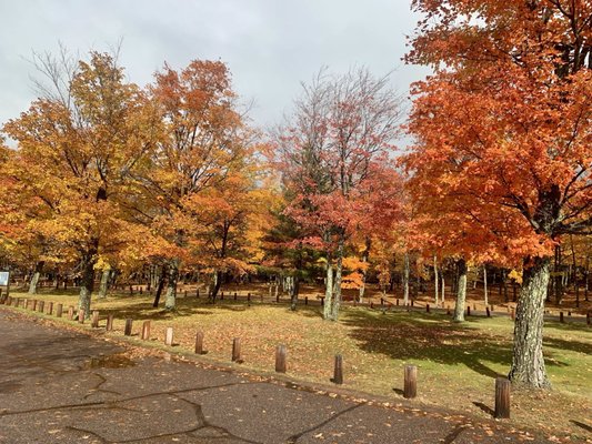 Presque Isle Park by null