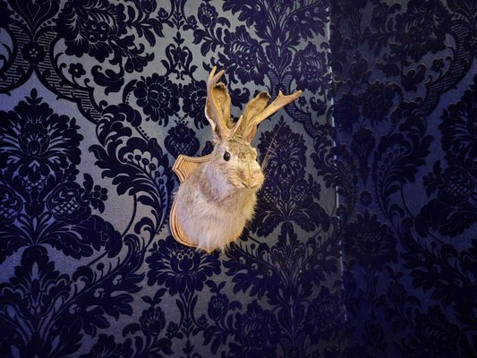 Beekman Ale House by null