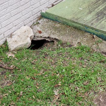Stonewall Property Group - Skunk hole at apartments - Property Management Near Me - San Antonio, Texas Stonewall Property Group - Skunk hole at apartments - Property Management Near Me - San Antonio, Texas