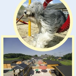 B. Kersebohm - Hundehaus