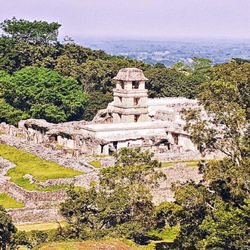 Palenque National Park - Bei den Ruinen (09/2025)