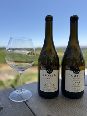 Scribe Winery by null