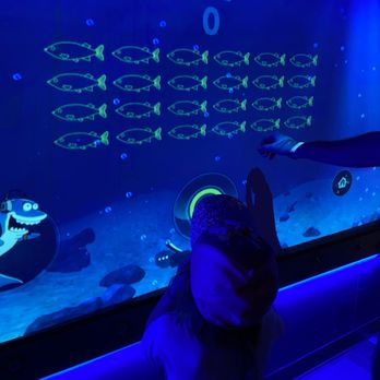 Sea Life Aquarium - Interactive game - Aquariums Near Me - Carlsbad, California Sea Life Aquarium - Interactive game - Aquariums Near Me - Carlsbad, California