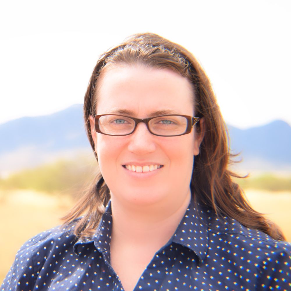 HEIDI LOVE TIERRA ANTIGUA REALTY 77 Calle Portal, Sierra Vista