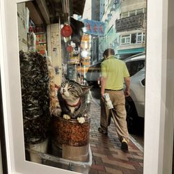 中環迷你酒店