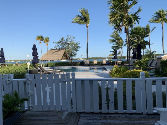 Coconut Palm Inn by null