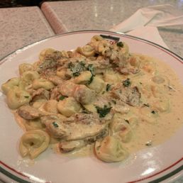 Chicken tortellini with Alfredo sauce, came with two slices of garlic bread and a salad. Chicken tortellini with Alfredo sauce, came with two slices of garlic bread and a salad.