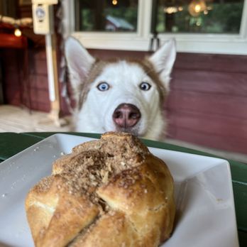 Pine Farms Orchard - Apple blossom - Cafes Near Me - King City, Ontario