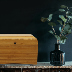 Be a Tree Cremation - Eco home urn