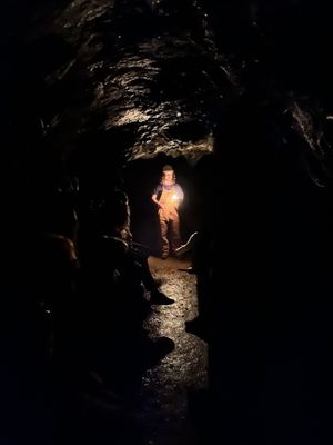 Consolidated Gold Mine by null