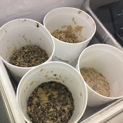 Scoopy’s Ice Cream Shoppe - Edible Cookie Dough!